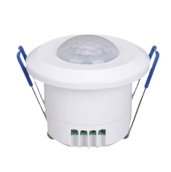 Motion Detector